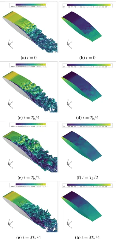 Figure 3.2: Variation of the flow field over one buffet period T b with OES. Left,