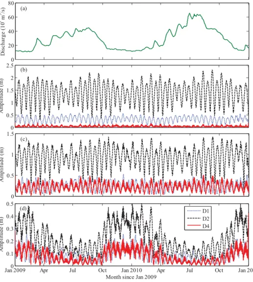 Figure 7. (a) River discharge at Datong; amplitudes of the diurnal (D 1 ), the semidiurnal (D 2 ), and the quarter-diurnal (D 4 ) tides at (b) Niupi-