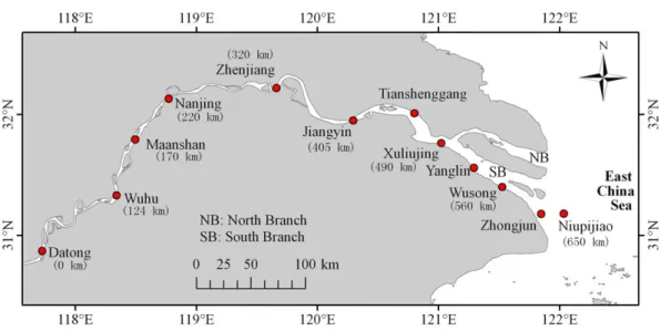 Figure 1. The Yangtze River estuary (YRE) and the location of the tidal gauge stations