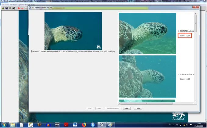 Figure 23 : Exemple de traitement d’une photographie de profil droit d’une tortue CM012 prise à Anse Dufour le  19/05/2020 dans le logiciel I3S