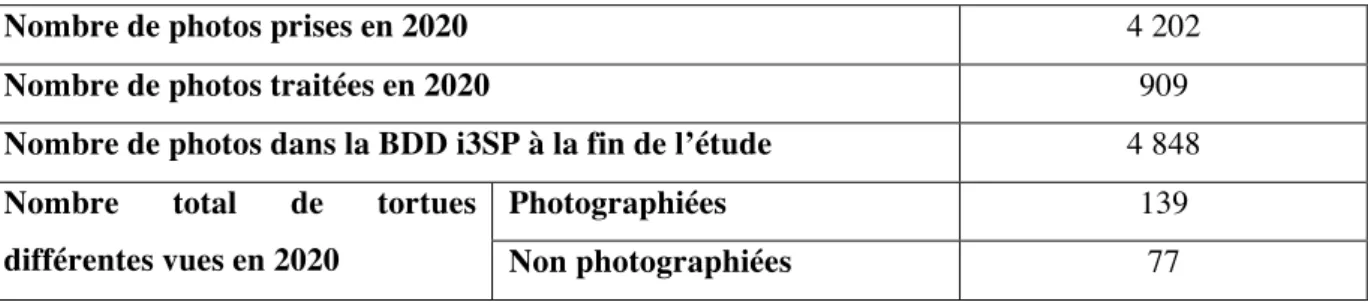 Tableau 10 : Récapitulatif du traitement des photographies 
