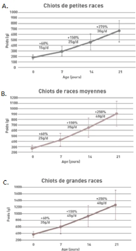 Figure 6 : Evolution du poids au cours des 21 premiers jours de vie chez les chiots de petit format (A), de format moyen  (B) et de grand format (C)  (NeoCare, ENVT) 