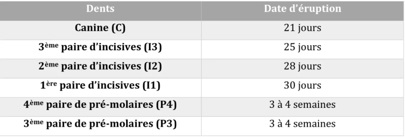 Tableau 6: Date d'apparition des dents déciduales chez le chiot au cours du 1 er  mois de vie  (Pollet, 2009) 