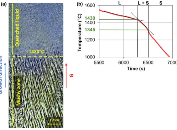 Fig.  1—QDS  results,  (a)  optical  micrograph  showing  quenched  liquid  and  mushy  zone  after  LB  (Lichtenegger  and  Blo¨ ch)  etching  (60  g  NH 4 HF 2 ,   2  g  KHSO 3 and   100  mL  of  hot  distilled  water  at  80  C),  (b)  temperature  evo