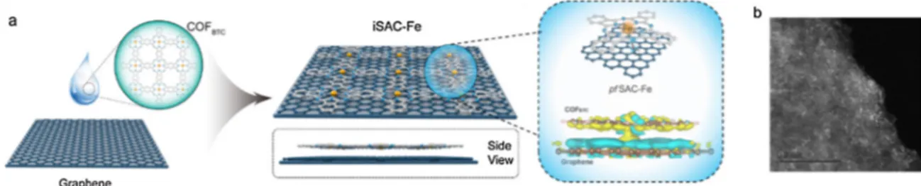 Fig. 6. Construction of nitrogen-coordinated single atom catalyst through pyrolysis-free path