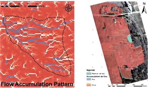 Fig. 2. Map of major current trace and accumulation pattern, left   image:  the vineyard and right image the orchard