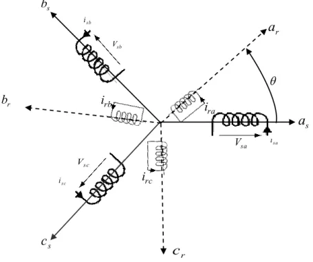 Figure I.1  Représentation des enroulements statoriques et rotoriques de la MAS. 