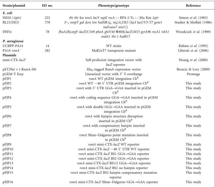 Table 1. Strains/plasmids used in this study