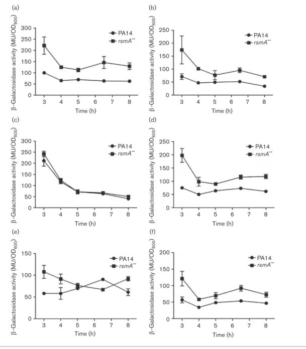 Fig. 5. Time-course of expression of rsmA determined by using a translational rsmA9–9lacZ reporter