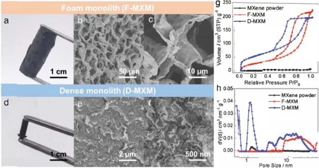 Figu re  2. The  morpho l ogy  and  microstructure  of  MXM:  Optical  photographs  and  SEM  images  at  different  magnifications  of  the  MXH  w i th  a-c) freeze-drying and d-f) capillary-drying