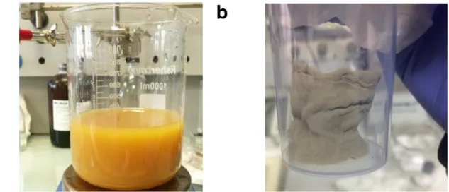 Figure S1: (a) Graphene oxide solution and (b) Graphene oxide aerogel prepared by freeze- freeze-drying technique
