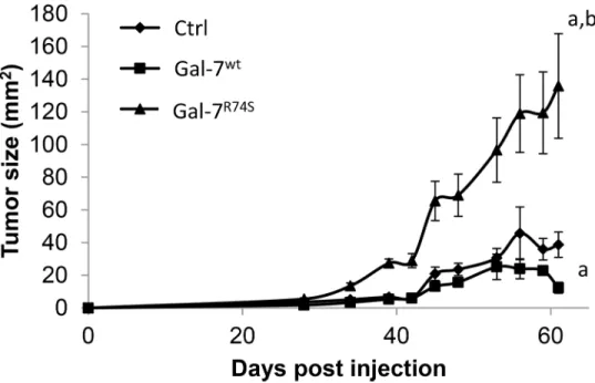 Fig 5. Invasive behavior of DU-145 expressing gal-7 wt or gal-7 R74S . (A) Matrigel invasion assay of DU- DU-145 stable transfectants