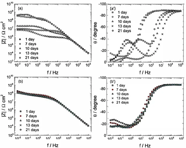 Fig. 9. Electrochemical impedance diagrams obtained for different immersion times  in  a 0.5 M Na Cl solution for the carbon steel covered by the  epoxy coatings containing: (a, a') AA-MMT and (b, b') SHQ-MMT