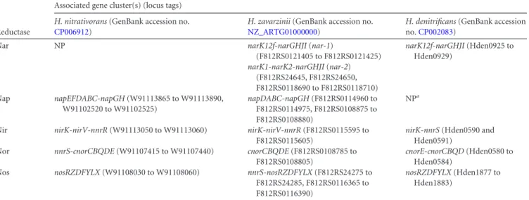 TABLE 3 Gene clusters associated with the dissimilatory pathway of denitrification