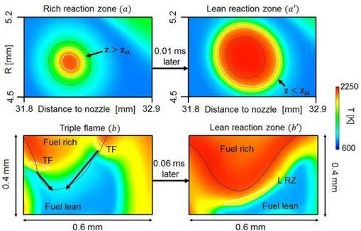 Fig.  5. ( a ) and ( a    ): two different instantaneous views illustrating a rich reaction zone ( a ) and a lean reaction zone ( a    ) after an auto-ignition event