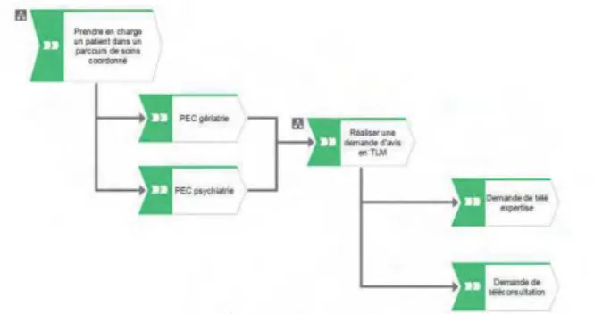 Figure 2. Example of graphical representations of care process