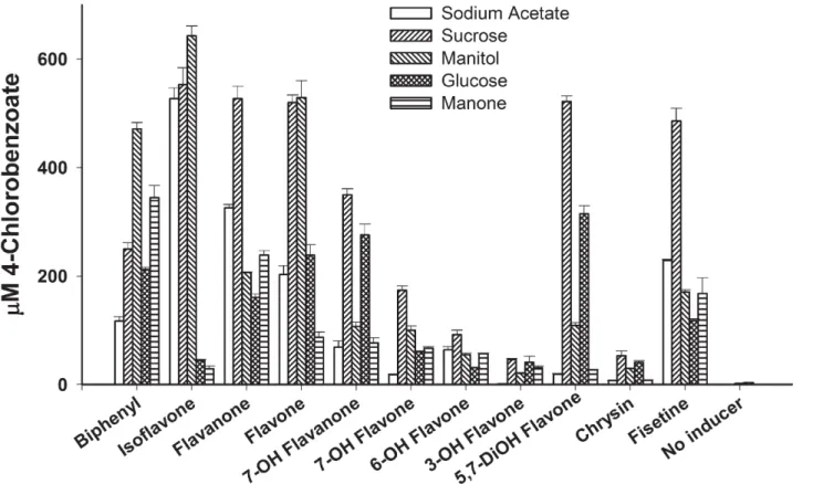 Fig 2. Amount ( μM) of 4-chlorobenzoic acid produced when standardized resting cell suspensions of strain U23A were incubated with 1.25 mM 4-chlorobiphenyl for 2 h