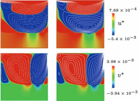 FIG.  9: Left: VANS approach. Right: Homogenized DNS approach. The figures show the horizontal and the vertical velocity 