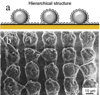 Fig. 18. Laser micro-texturing process (a) and the resulted surface morphology (b). Figures reproduced from Ref