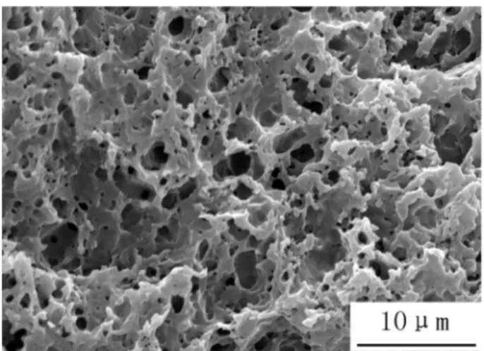 Fig. 8. Sintered PTFE coatings with gaps between the powder particles, imparting surface roughness