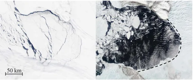 Figure 2. Terra/MODIS image of the Amundsen Gulf on (left) 20 May and (right) 9 June 2004