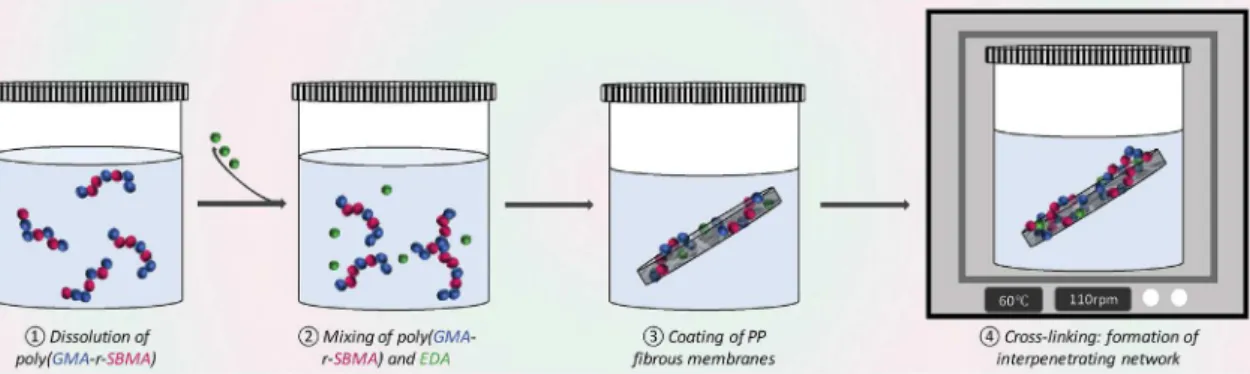 Fig. 3. Schematic of the surface modiﬁcation process of PP ﬁbrous membranes.