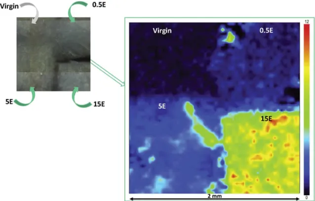Fig. 7. Mapping analysis of membranes modiﬁed using EDA. 4 membrane samples were placed in a square (as depicted by the optical microscopy image) and the region near the interfaces between the membrane samples was scanned to acquire a map containing an ana