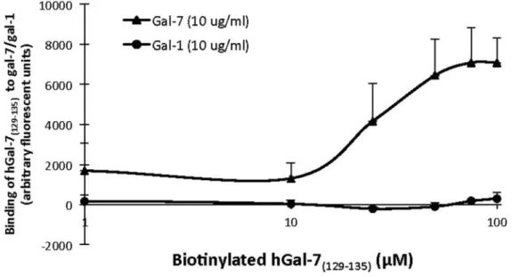 Figure 3: Biotin-labeled hGal-7(129–135) is capable of binding to recombinant hGal-7.  Binding curve showing a   dose-dependent interaction between biotin-labeled hGal-7 (129–135)  and hGal-7 or hGal-1