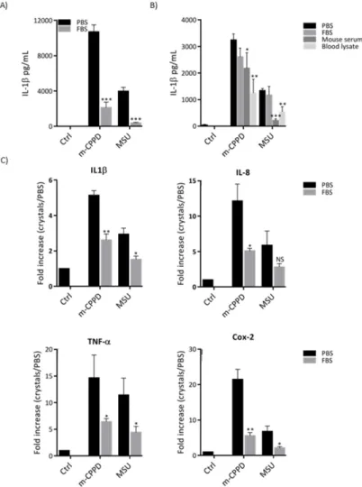 Figure 1. Adsorption of serum proteins inhibits crystal-induced inflammation. THP-1 or mouse 