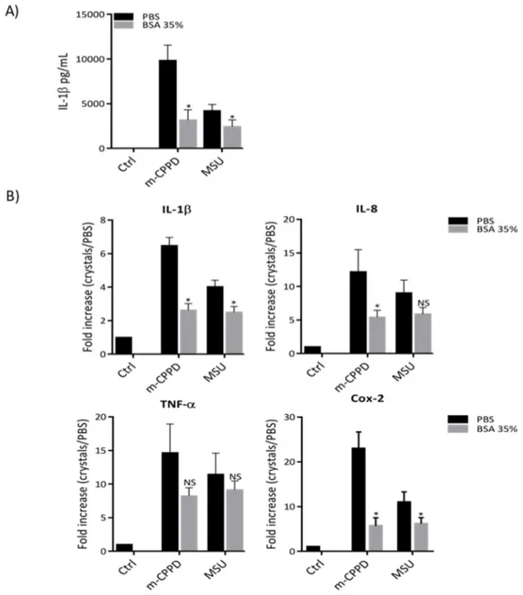 Figure 2. BSA-coated crystals inhibit crystal induced inflammation. THP-1 cells were primed the day 