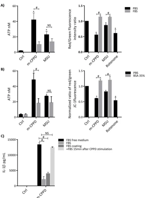 Figure 3. Adsorption of serum proteins on m-CPPD crystals modulates extracellular ATP production 