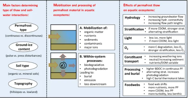 Figure 3. Conceptual diagram of (left) factors determining thaw type and soil-water interactions, (middle) mobilization and processing of