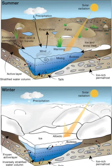 Figure 4. Physical limnological characteristics of permafrost thaw