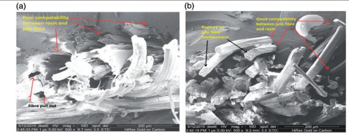 Figure II - 4 : Micrographies des faciès de rupture d’un composite polyester renforcé (a) 