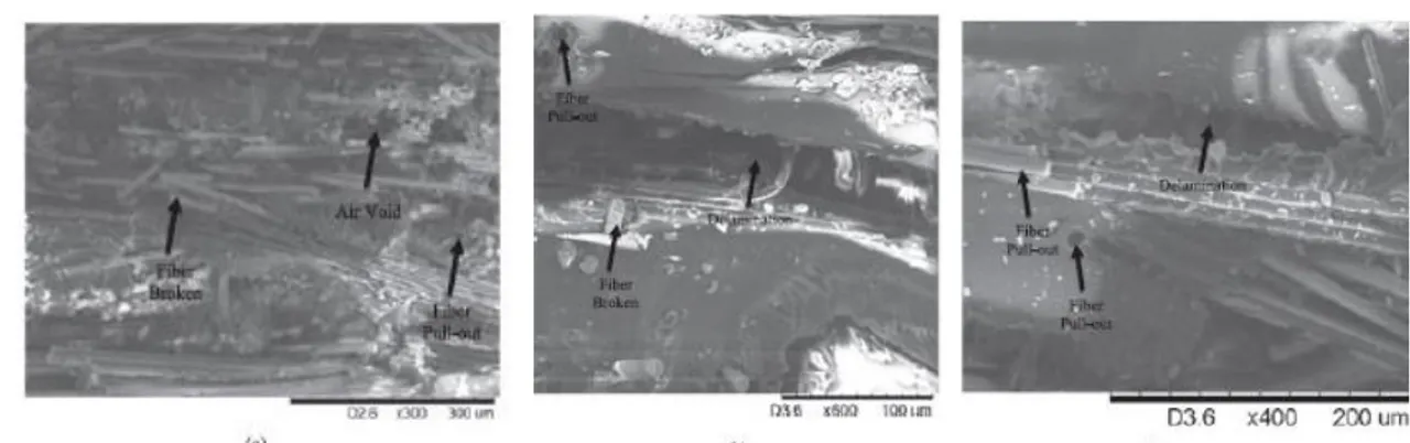 Figure  II  -  5  :  Pull-out  des  fibres,  rupture  des  fibres  et  délaminage  dans  la  surface  de 