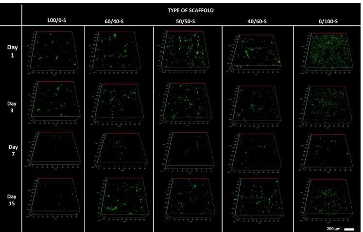 Fig. 5. Cell seeding of rat MSC cultured within reference and PEC 3D sca ﬀolds. Confocal z-planes (from the surface: 1 to the bottom: 10) of MSC-seeded scaﬀolds