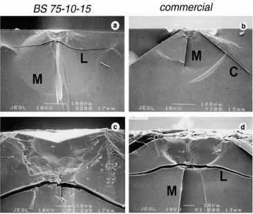 Figure 2.6: Morphologie de la sous- surface de fissures produites dans l’eau, avec un indenteur d’angle  64  a) verre BS 75-10-15, b) verre commercial [MASS 04].