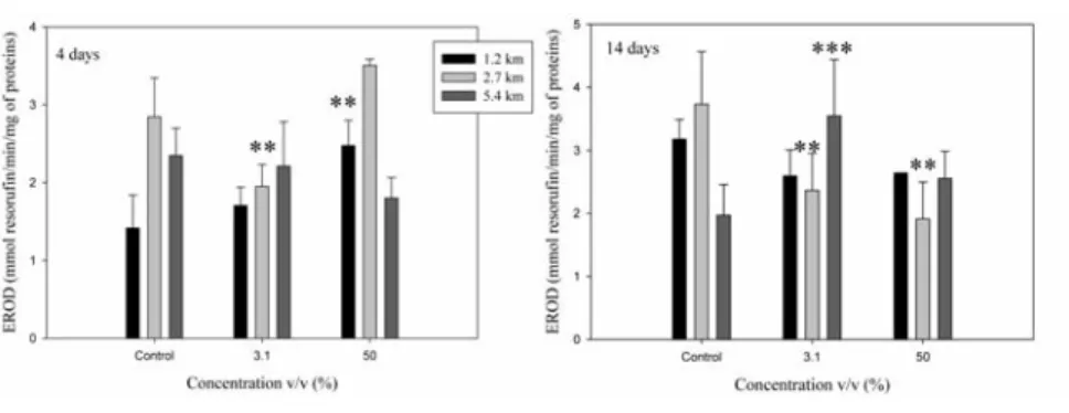 Table 4. Biomarkers correlation in rainbow trout exposed for 4 and 14 days to Mercier groundwater at 1.2, 2.7 and 5.4 km