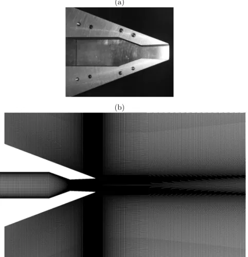 Figure   1.  (a)  Picture  of  half  the  nozzle  showing  the  converging  diverging  geometry  along  the  minor  axis  plane  and  (b)   80  million  nodes  structured  mesh  along  the  same  plane.