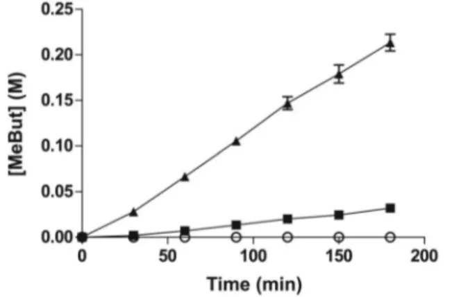 Figure 1. Effect of whole-cell biocatalyst (WCB) pretreatment on ester synthesis activity
