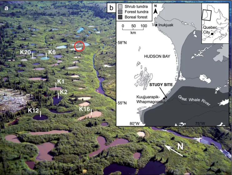 FIGURE 1.    Location of the study site. (a) Oblique aerial photograph showing sampled ponds (numbers as in the text)