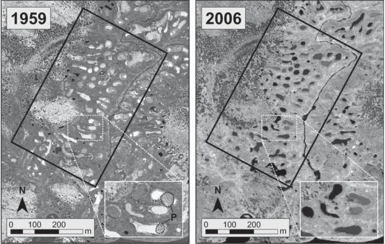 FIGURE 2.    Black and white aerial photograph (left) and QuickBird panchromatic satellite image (right) used to perform spatio-temporal  mapping (1959 vs