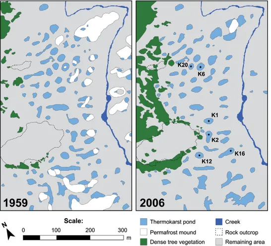 FIGURE 3.  Thermokarst  pond, permafrost mound, and  vegetation surface areas in July  1959 and July 2006 (enlargement  from the oblique rectangle of  Fig