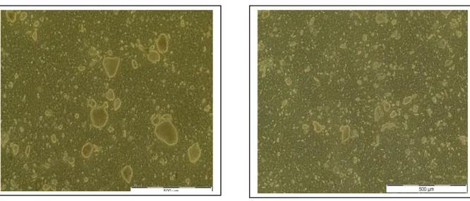 Figure III-1. Micrographie  optique de                      Figure III-2. Micrographie optique de 