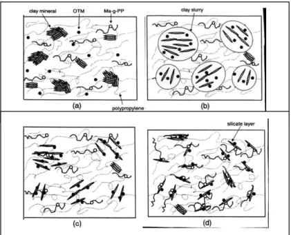 Figure I-19. Mécanisme de la dispersion de l’argile dans 