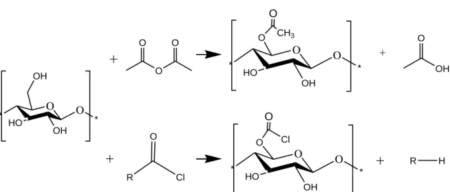 Fig.  1.  The  proposed  mechanism  of  reaction  of  CNC  with  acetic  anhydride  and  acetyl  875  chloride reagents