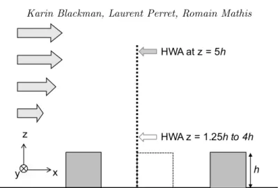 Figure 2. HWA measurement set-up showing the two-probe arrangement.
