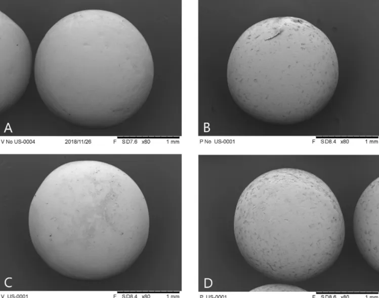 Fig. 16. MEB pictures of 2 mm glass and plastic particles before and after exposure to ultrasound – (A) Glass before US – (B) Plastic before US – (C) Glass after US – (D) Plastic after US.