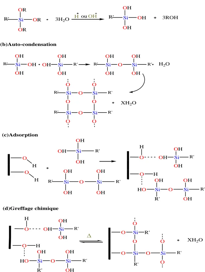 Figure I.8:  Hydrolyse de l’alkoxysilane  et les interactions  avec la surface inorganique 
