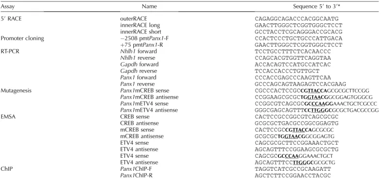 FIG. 1. 5 0 RACE experiments determine multiple transcriptional start